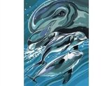 Reeves Junior Painting by Numbers - Dolphins