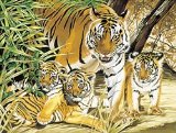 Senior Paint By Numbers - Tiger and Cubs PL23