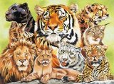 Senior Paint By Numbers - Wild Cats PL39