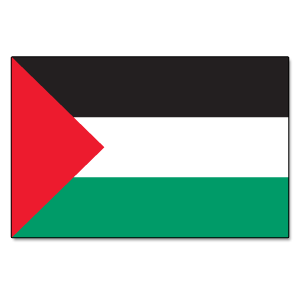 Palestine Flag Iron On Patch 30mm x 20mm