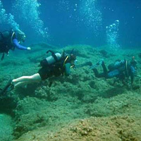 Rhodes Underwater Safari Tour - Diver
