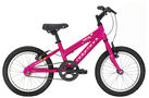 Melody 2010 Kids Bike (16 Inch Wheel)