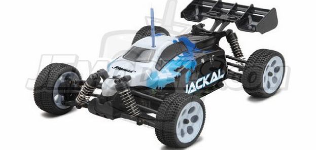 Jackal RTR 1/18 Electric 4WD Buggy 2.4GHz