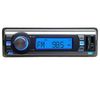 RU-200FM USB/SD Car Radio