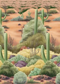 room Setter - Desert Flora