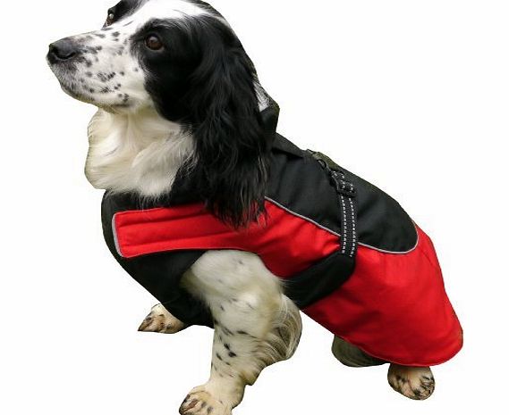 ROSEWOOD  Options Dog Coat Water Resistant/Reflective, 14-16-inch, Red