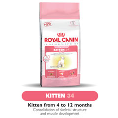 Canin Feline Health Kitten 36 4kg