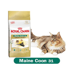 Canin Feline Health Maine Coon 31 4kg