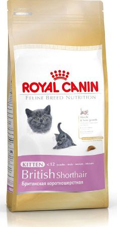 Royal Canin, 2102[^]0105300 Kitten British Shorthair