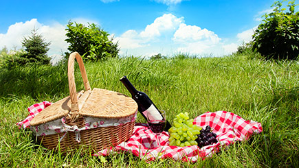 Park Picnic Hamper for Two with Flemings