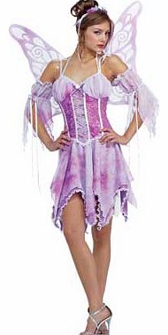 Rubies Butterfly Costume - Large