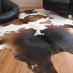 holstein brown and white cow hide