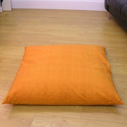 My Space Pack Of 2 Plain Floor Cushions