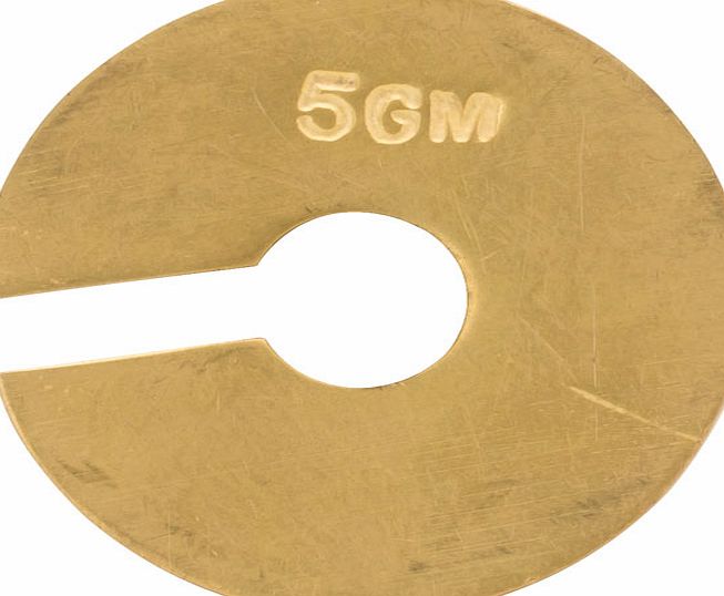 RVFM Brass Plated Slotted Masses 100g P10185/5