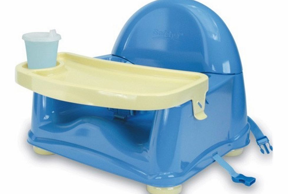 Swing Tray Booster Seat Pastel 2014