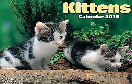 Salmon Kittens Small Wall Calendar 2015
