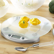 1005 Frosted Glass Kitchen Scale