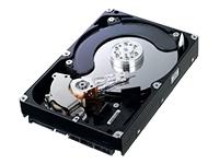 1TB hard disk drive Spinpoint F1 RAID Class SATA II 300 7200rpm 32MB cache oem HE103UJ (Manufacturer