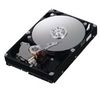 SAMSUNG SpinPoint F1 Desktop Class HD753LJ - hard drive