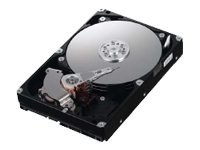 SpinPoint F1 HD753LJ - hard drive - 750 GB - SATA-300