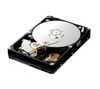 SAMSUNG SpinPoint HD322HJ T166 series Hard Drive ? 3.5`