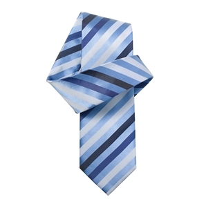 Blue/Navy Classic Pure Silk Tie
