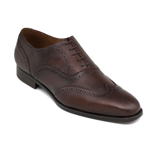 Brown Oxford Brogue Men` Shoe