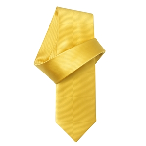 Gold Pure Silk Tie