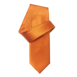 Orange Pure Silk Tie