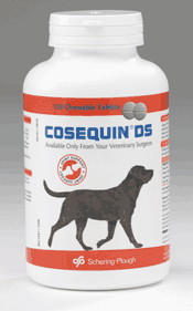Cosequin Double Strength - 120 Chewable Tablets