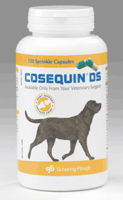 Cosequin Double Strength - 120 Sprinkle Capsules