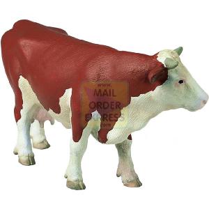 Fleckvieh Cow Standing