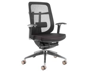 Scipio mesh task chair