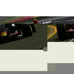Scott Speed 2007 Toro Rosso