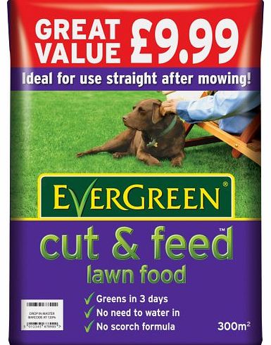 EverGreen Cut & Feed 300 sq m Lawn Food Bag