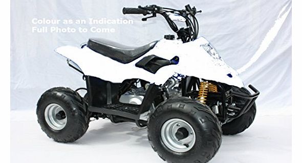 110cc Thunder Cat Quad Bike with Electric Start and Reverse Gear - White from Very Bazaar (tm)