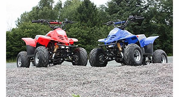 110cc Thunder Cat Quad Bike with Electric Start and Reverse Gear - White