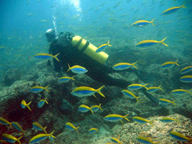 Scuba diving holiday in the Andaman Islands