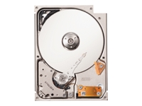 Seagate Lyrion ST730212DE - hard drive - 30 GB - IDE
