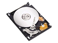 Momentus 5400.3 ST9100828AS - hard drive - 100 GB -