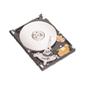 Seagate ST9120821AS