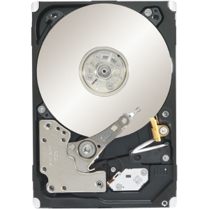 Seagate Technology Seagate Constellation.2 ST9250610NS 250 GB