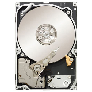 Seagate Technology Seagate Constellation ES ST32000445SS 2 TB