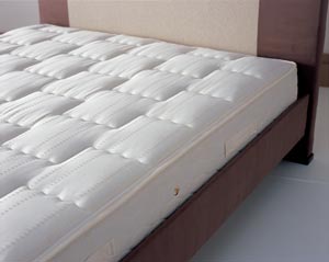 Sealy Backcare- 4FT 6" Mattress