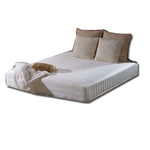 Sealy Memory Supreme 6FT Zip and Link Mattress