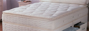 Sealy Pillow Comfort- 4 ft Mattress