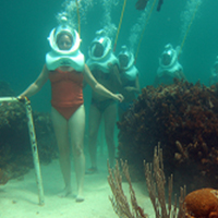Punta Cana Seaquarium Sea Trek