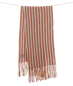 Seasalt jaborandi stripe scarf