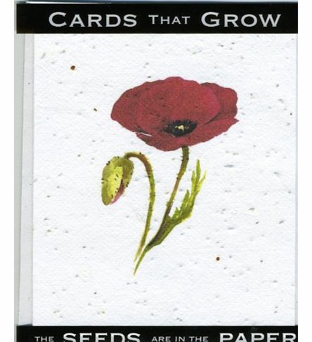 Plant-It Seeded Hand Crafted Poppy Card Cards Grow into Flowers with Wild Flower Seeds