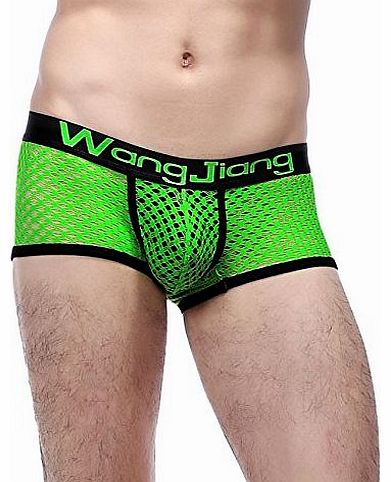 Mens Sexy Mesh Low Rise Boxers Trunk Underwear Pants